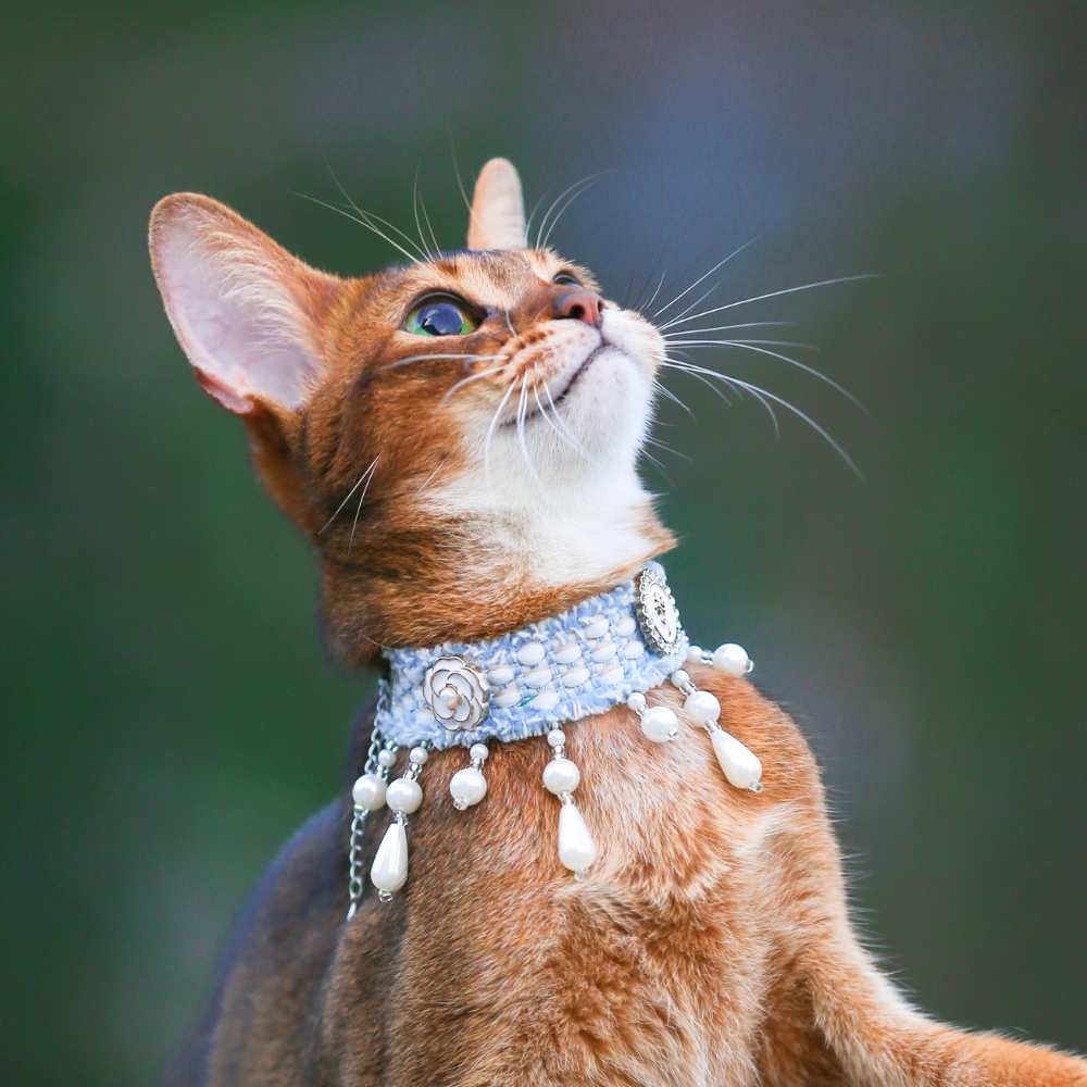 Pet Pearls
