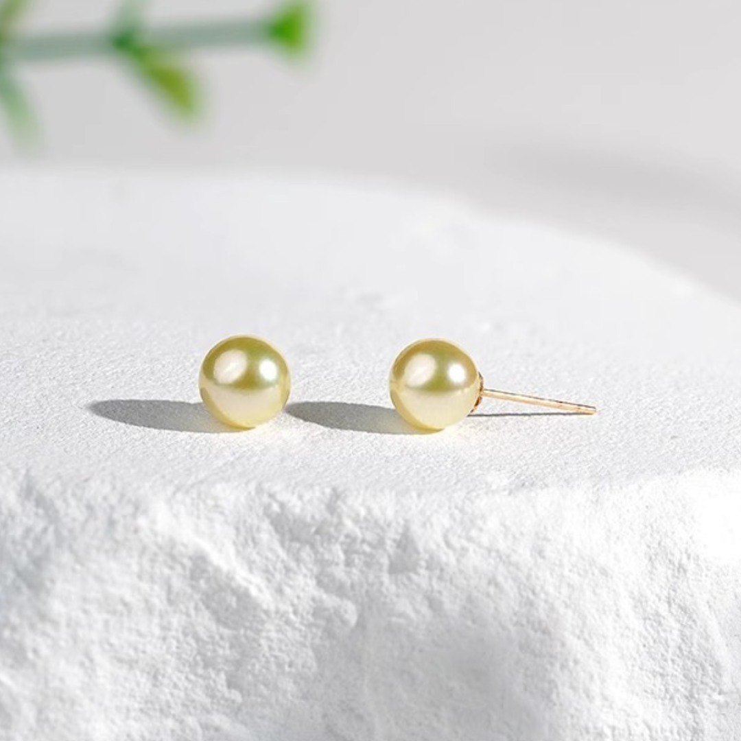 18K Gold Janpanese Gold Akoya Pearl Stud Earrings - AAA Quality