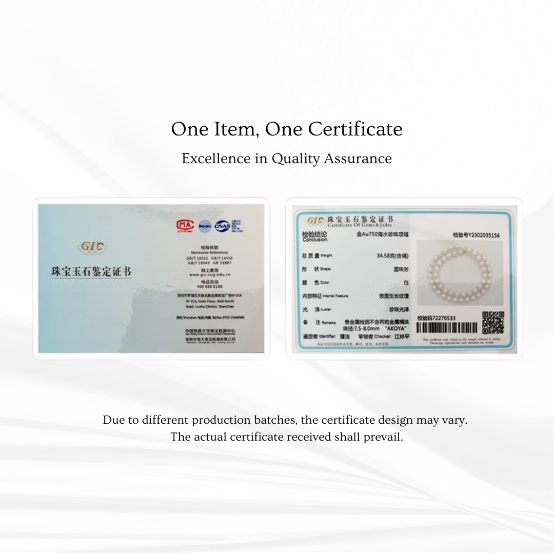excellence in quality assurance